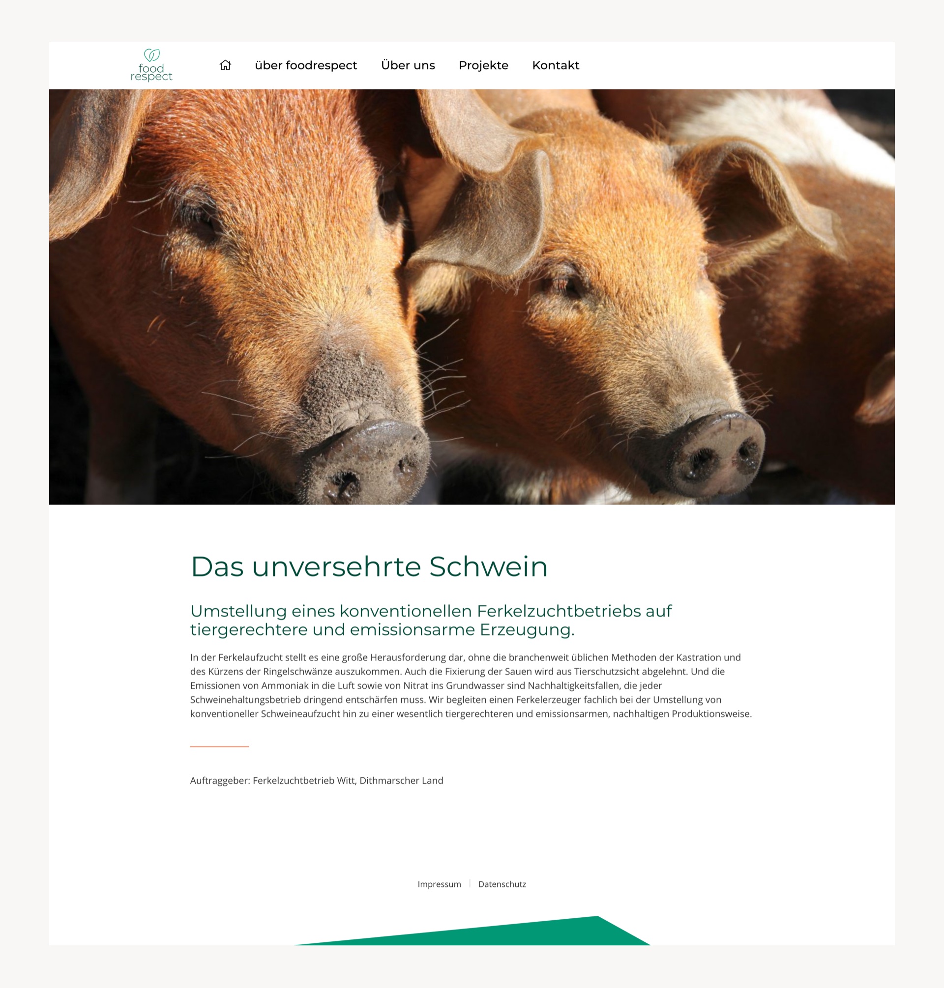 Image of a project page about unharmed and happy pigs