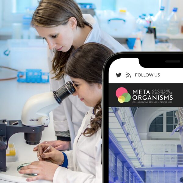 Collaborative Research Centre 1182