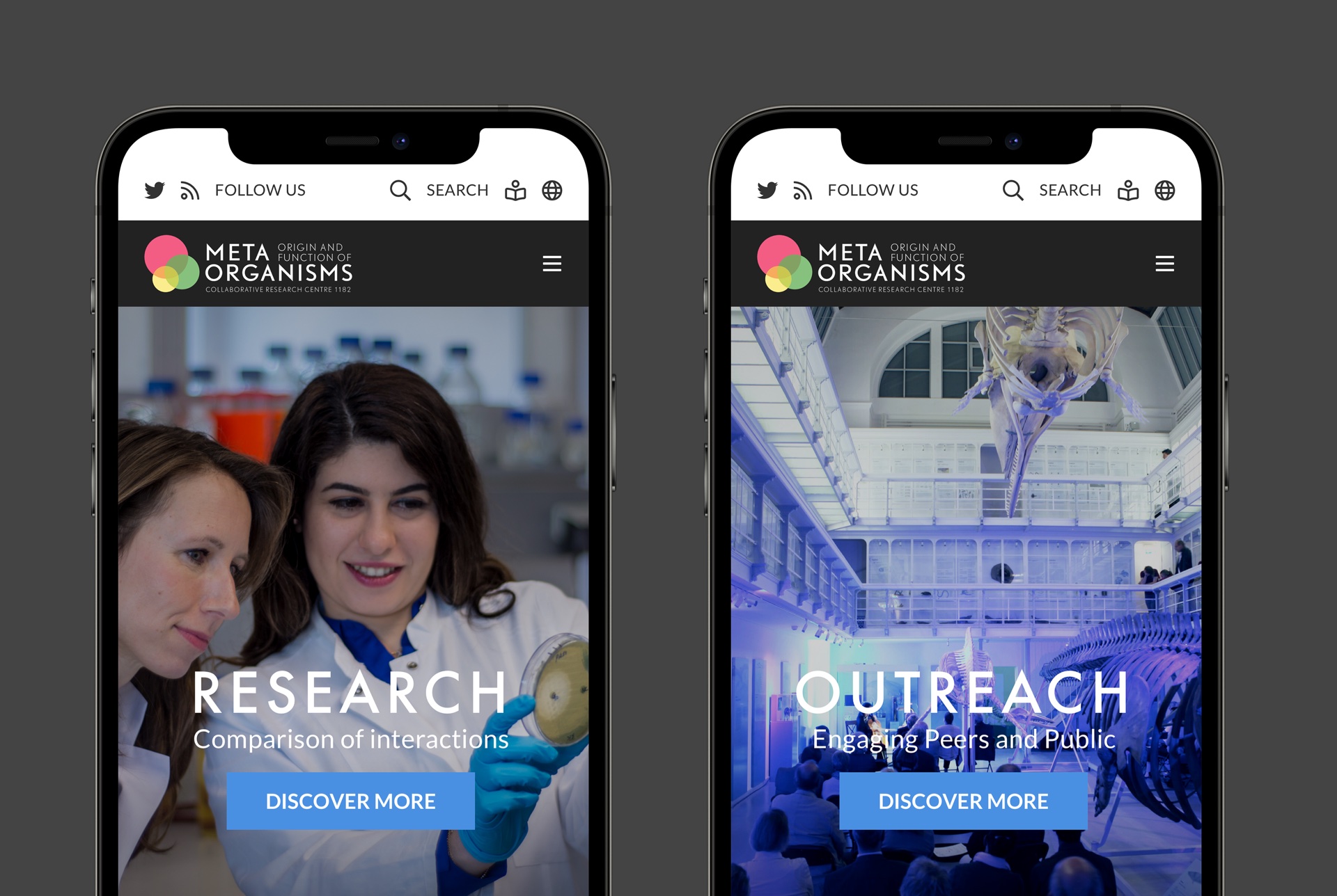 A montage of two mobile views. Big colorful professional photography layered with a bold typographic title and subtitle, combined with a clearly visible blue call-to-action button assist in drawing viewers to learn more about the CRC 1182.